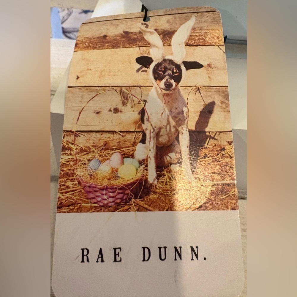 Wooden Rae Dunn Easter Bunny Decor with Striped Hat - Picture 2 of 3